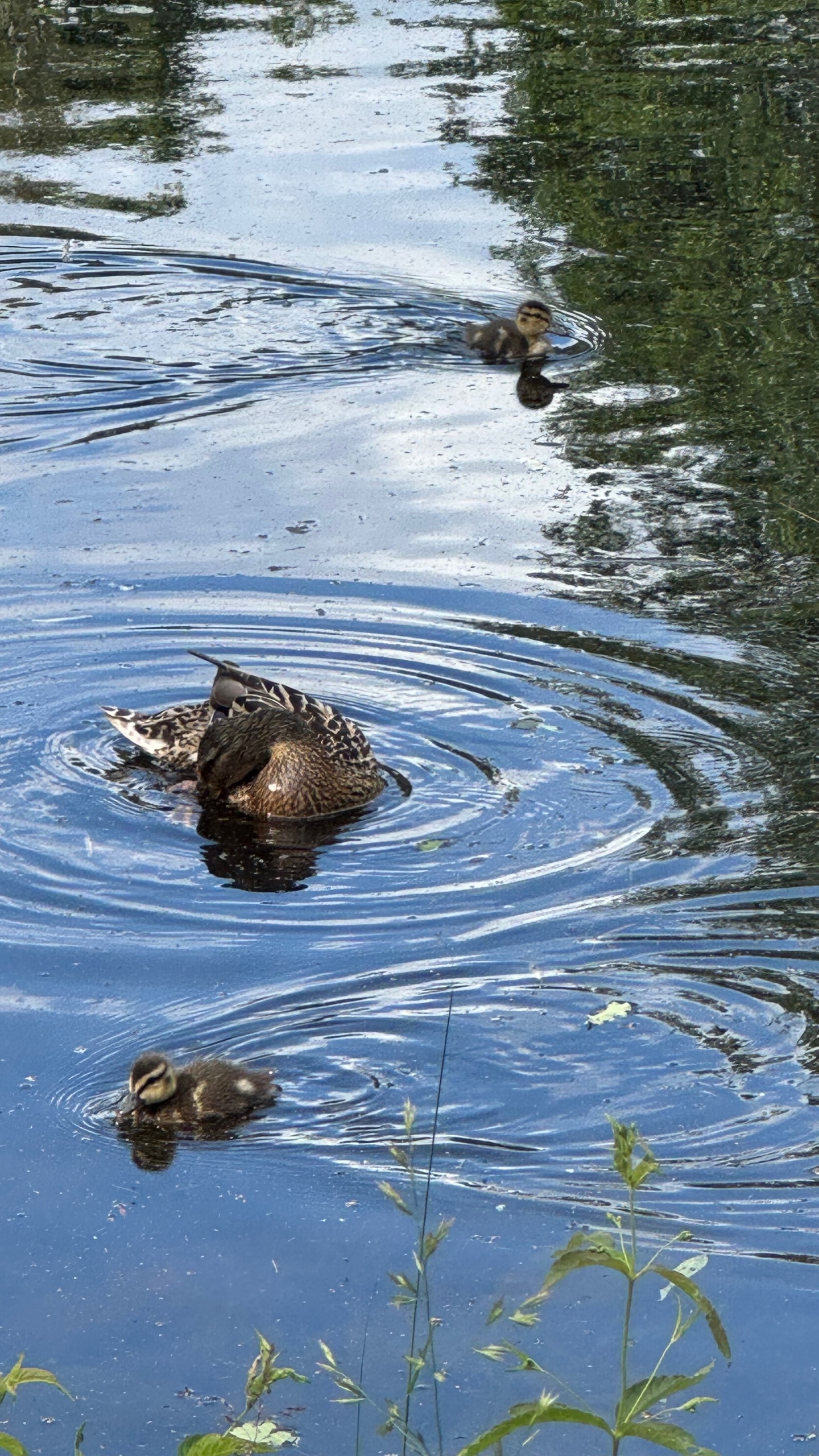 Фотоконкурс - 2025!